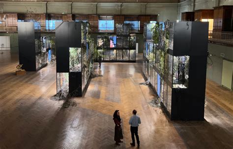 The Venice Biennale 2019: Where Politics Met Performance Art Under the Tuscan Sun